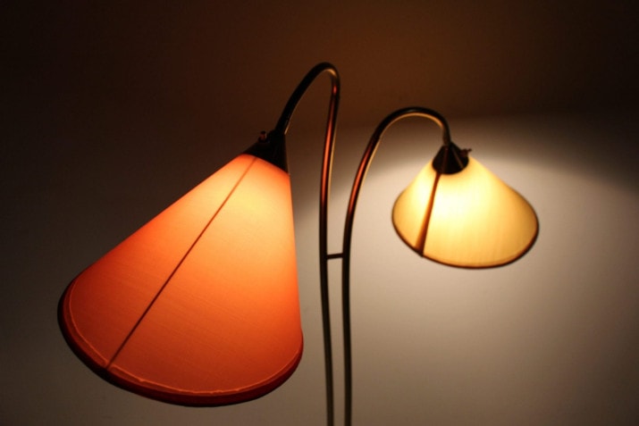 Floor lamp with 2 adjustable lights