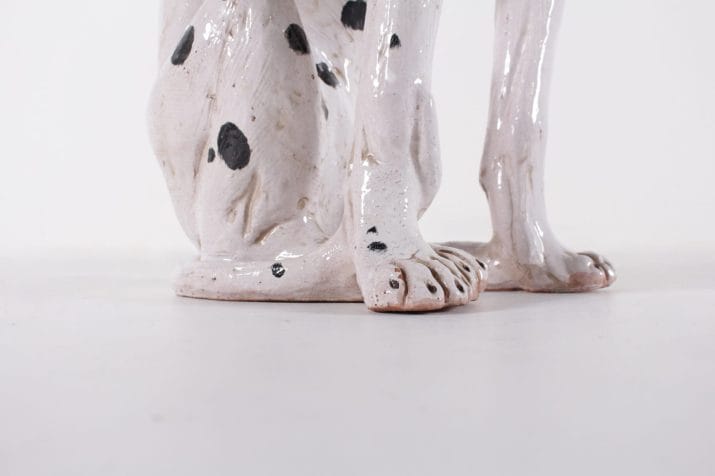 Dalmatian in terracotta