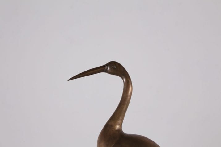 ibis laiton 1970 5