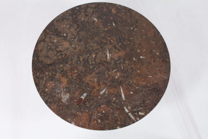 heinz lilienthal fossil tableIMG 0571