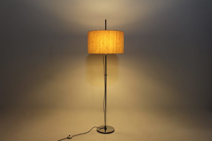 Modernist floor lamp Staff