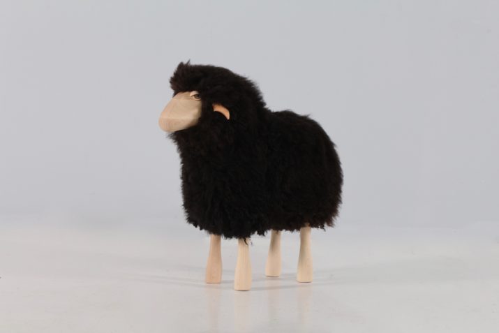 Petit mouton agneau noir HAnns Peter Krafft IMG 9171