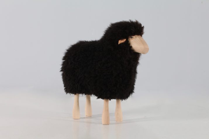 Petit mouton agneau noir HAnns Peter Krafft IMG 9172