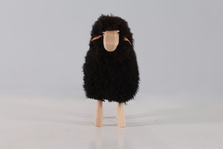 Petit mouton agneau noir HAnns Peter Krafft IMG 9174