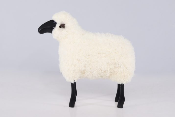 Grand Mouton Tête NoireIMG 0076
