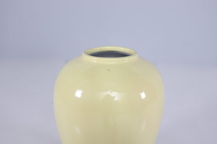Vase Lotus JauneIMG 0252