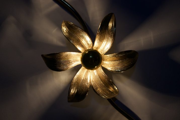 Willy Daro floral wall lamp