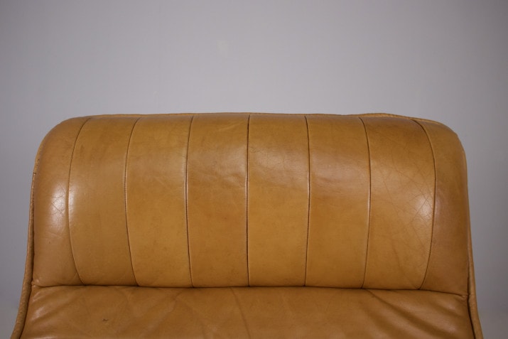 Canape Sofa Modulable Cuir Style De SedeIMG