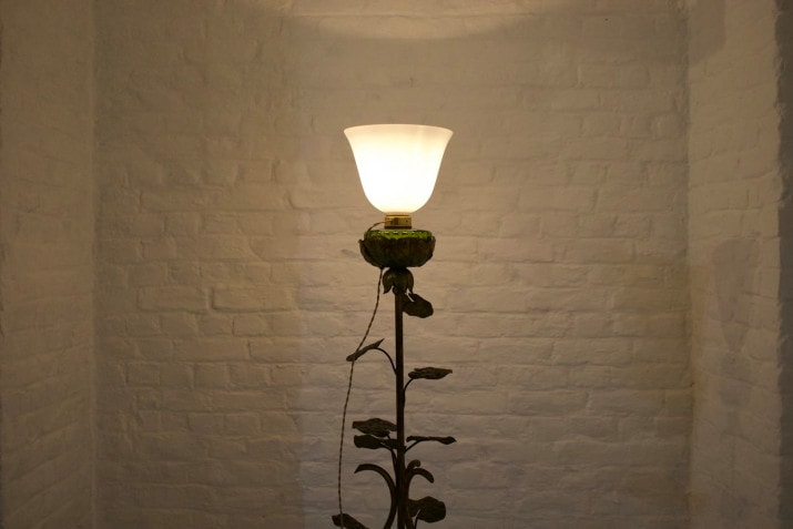 Art Nouveau floor lamp with water lilies